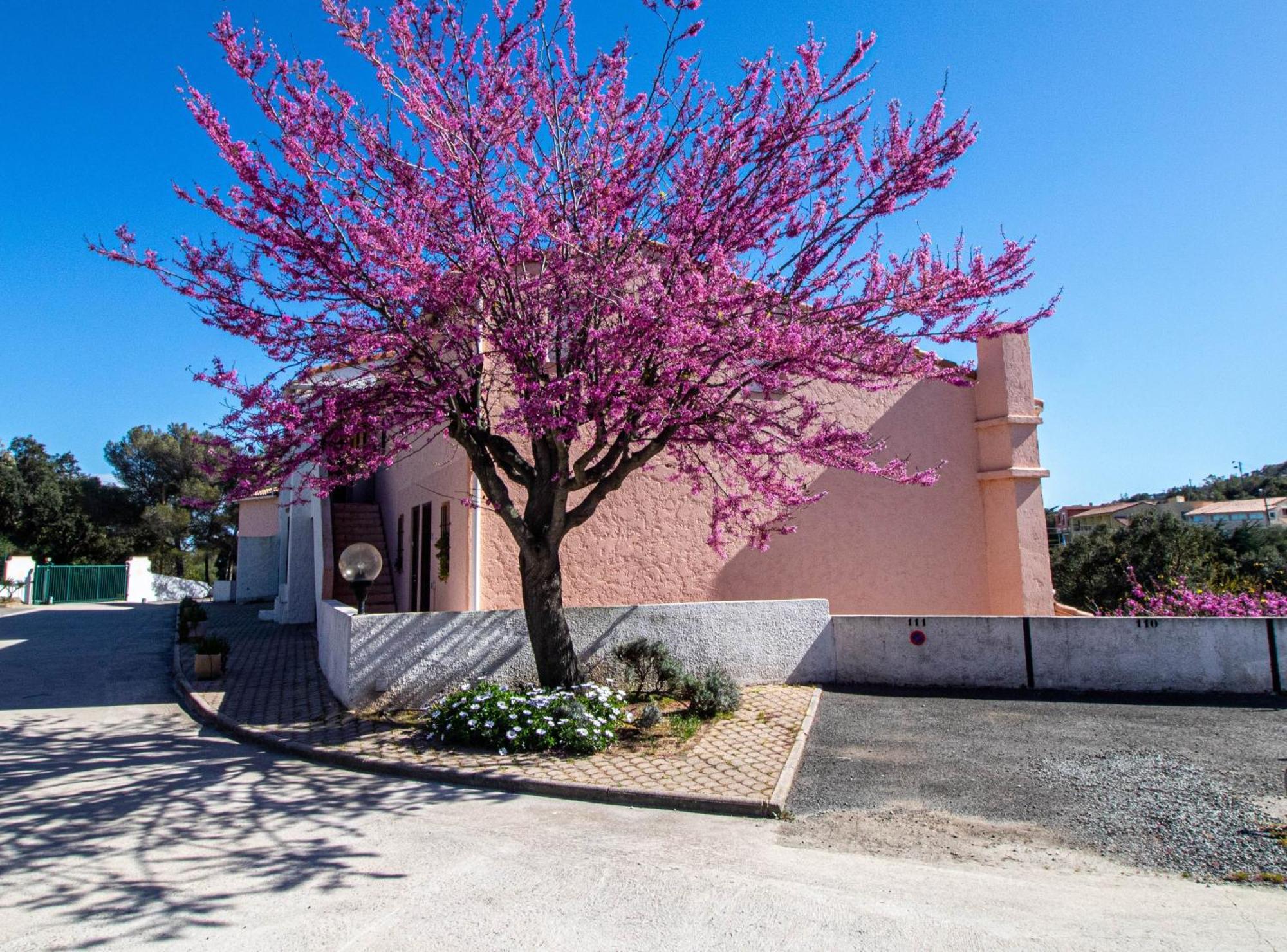 Vacances Familiales Dans Camping Avec Piscine Frejus Room photo